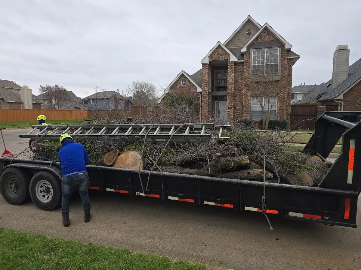 Expert Tree Removal with proper safety equipment in Oberlin